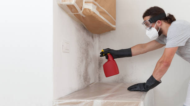 Professional Commercial Mold Remediation technician working in Marlborough, MA