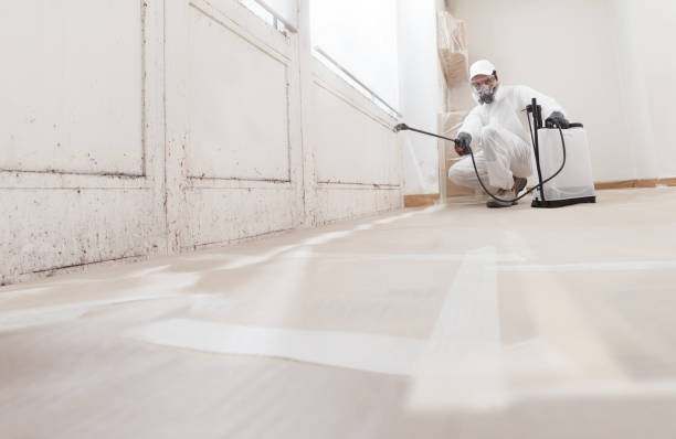 24/7 Emergency Commercial Mold Remediation experts in Marlborough, MA